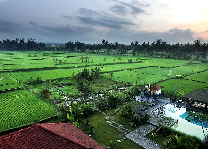 Suly Garden Hotel