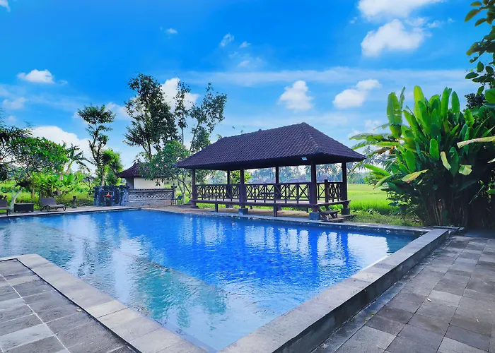 Suly Garden Hotel 3*
