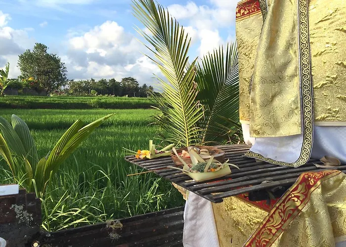 Suly Garden 3* Ubud (Bali)