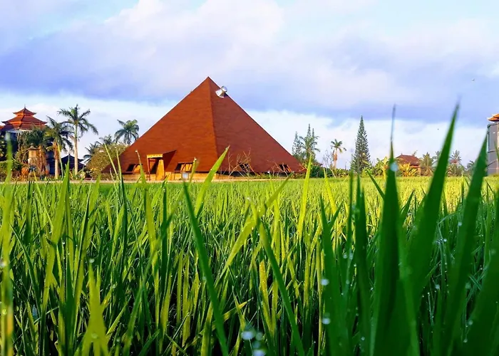 Suly Garden Hotel 3*